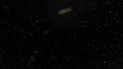 Хозяин дома играется с дырками толстой домработницы во время уборки