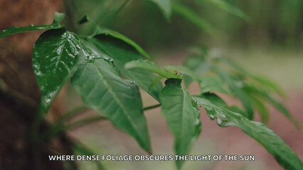 Секс приключение с Diana Rider – это сучка заставит твою сперму бурлить