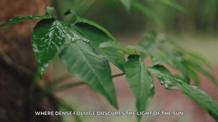 Приключение Эльфа с богом Эросом – попробуй не кончить